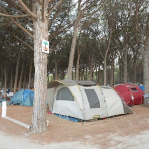 Camping Riells